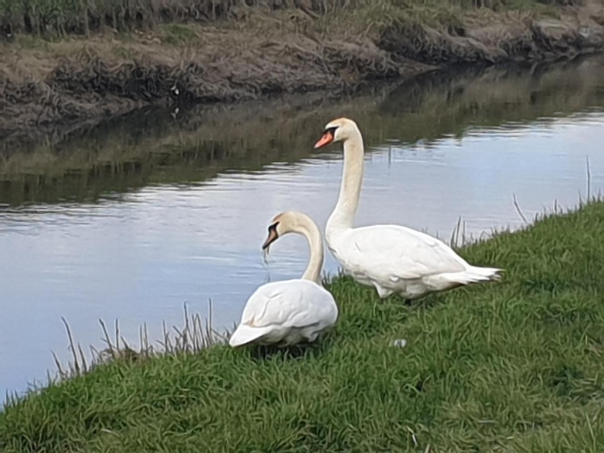 Delightful Cottage On The River Adur Close To Brighton & The Downs No Dogs Sorry Upper Beeding Exterior foto