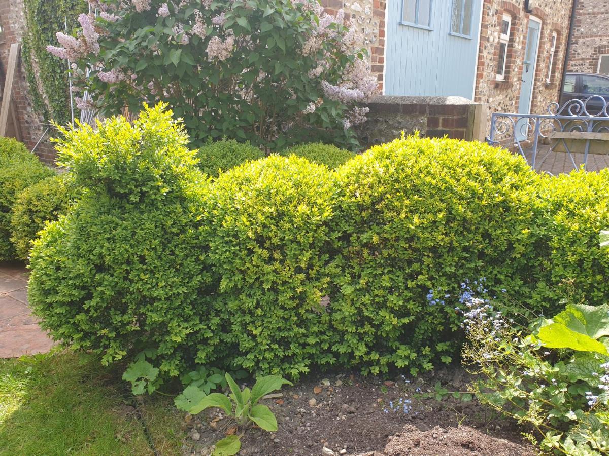 Delightful Cottage On The River Adur Close To Brighton & The Downs No Dogs Sorry Upper Beeding Exterior foto